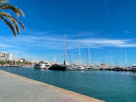 ALQUILER POR MES, apartamento amueblado, 2 dormitorios, terraza, Paseo Maritimo - Photo 2