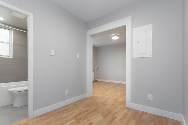 50 Gloucester Street - Photo 1