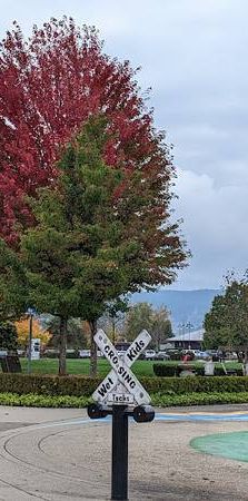 2 bedroom and Den for rent March 1st- Port Moody - Photo 1