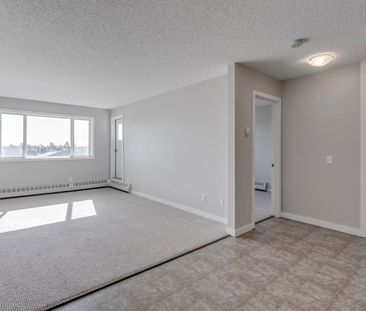 1 Bedroom - Photo 4