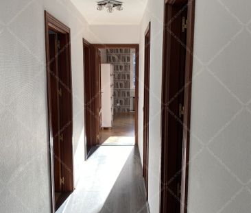 Hangya utca | Property for Long Term Rent in Budapest - Photo 5