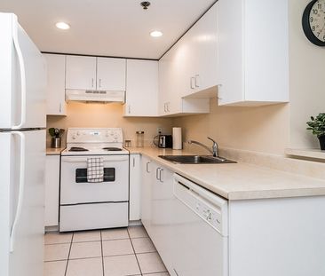 Avenue de l'Hôtel-de-Ville - Photo 5