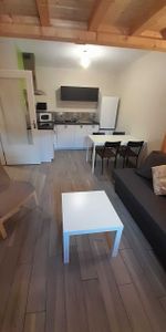 Location Appartement 2 pièces 43m² VOIRON 38500 - Photo 3