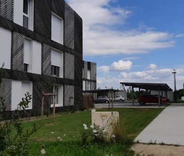 Appartement de type 2 - RDC en rez-de-jardin - Photo 6
