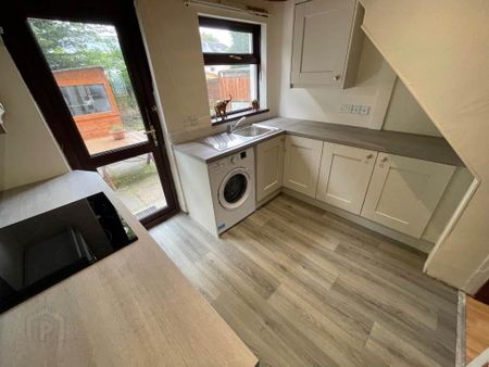 17 Ardenlee Gardens, Belfast, BT6 8QG - Photo 5