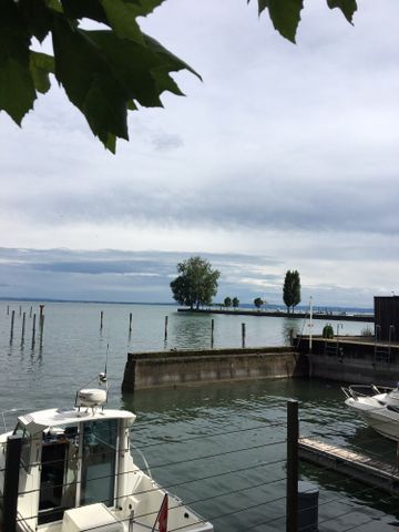 2.5 Zimmer, 55 m² - Photo 5