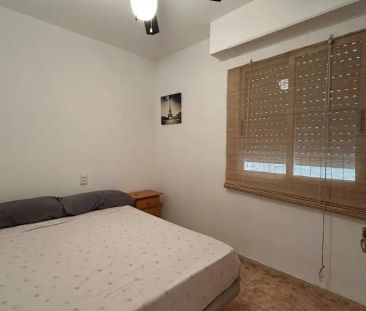 Sueca - Photo 4