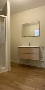 Location Appartement 1 pièce 42m² BOURGES 18000 - Photo 4