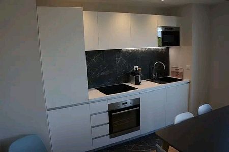 Appartement T3 gemeubileerd en colocatie - Foto 4