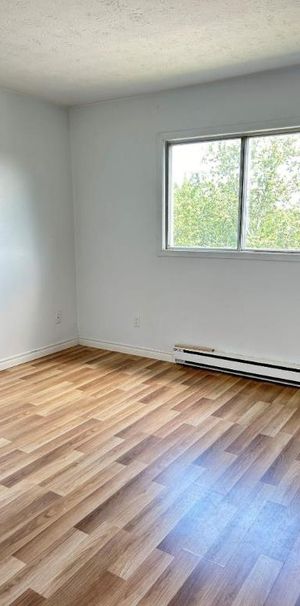 2 CH - 1 SDB - Sherbrooke - $1,150 /mo - Photo 1