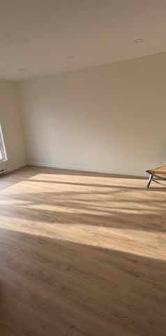 GRAND 4 1/2 RÉNOVÉ - 1 MOIS GRATUIT - DISPO 1er MAI - REZ-DE-CHAUSSÉE - FACE À UN PARC - Photo 1