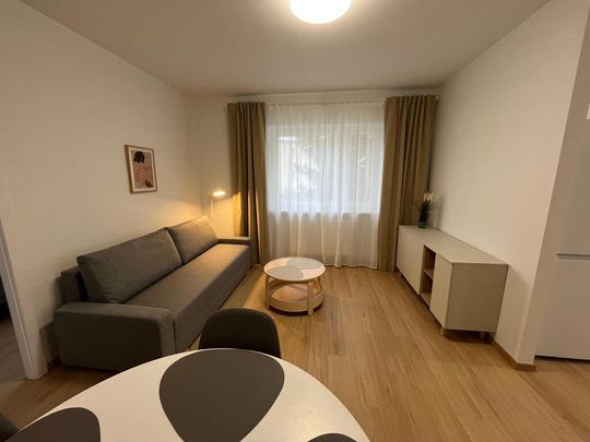 Goszczyńskiego 2pok 39m2 blisko szpitala - Photo 1