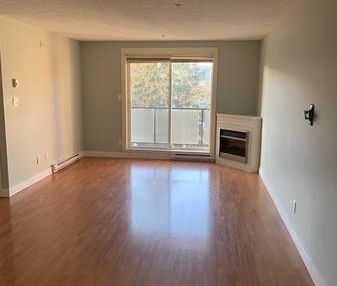 1 bedroom in great central Langford location - Photo 3