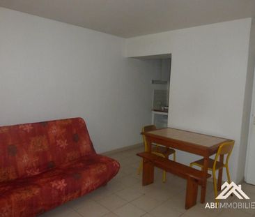 Location Appartement 1 pièce 20m² MONTPELLIER 34070 - Photo 3