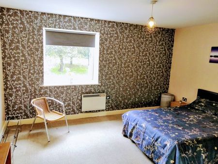 1 Bed Flat, Ryland Street, B16 - Photo 5