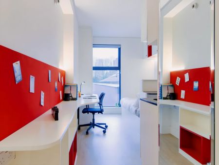 Deluxe Studio - Photo 2
