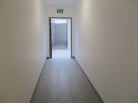 Ihr neues Zuhause am Froschberg – Moderne Dachgeschosswohnung mit Flair - Photo 3