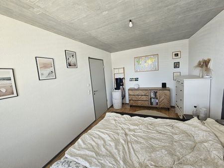 31/2-ROOM APARTMENT IN ZUCHWIL (DIM), FURNISHED, TEMPORARY - Photo 3