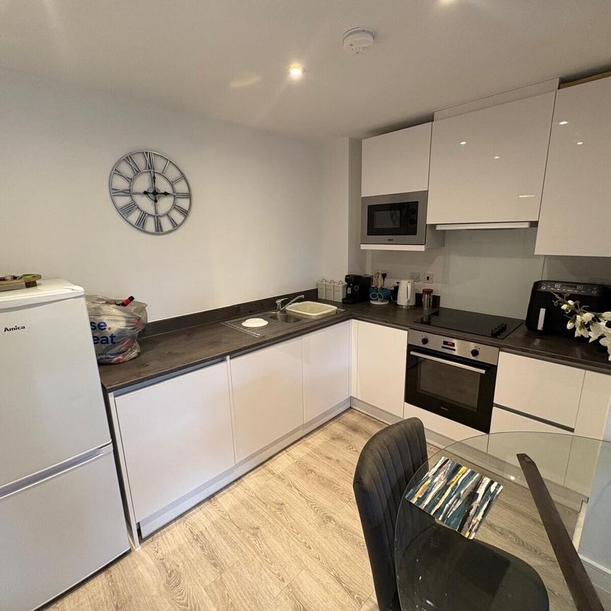 Erasmus Drive - Photo 1