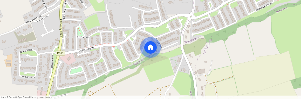 42 Meadow Walk, Castle Heights, Kilmoney, Carrigaline, Carrigaline, Co. Cork