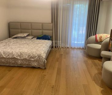 Large, Furnished, Five-Bedroom House - BSB - Photo 5