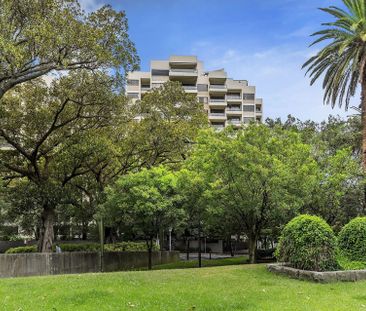 Luxury Garden Apartment Overlooking Cook + Phillip Park - Photo 3