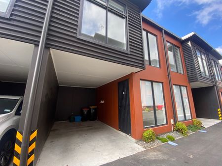 50/17 Owens Place, Mount Maunganui - Photo 2