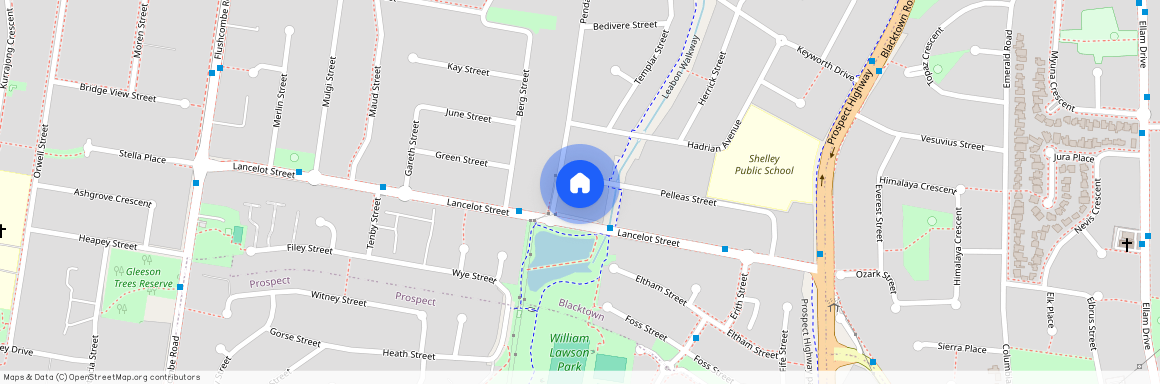 49 Pelleas Street, NSW 2148, Blacktown