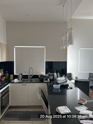 Modern Apartment with Stunning Views – Sky Gardens Building - Photo 1