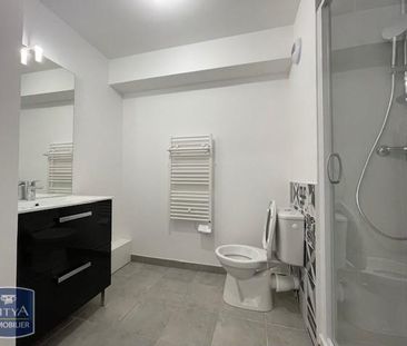 Location Appartement 1 pièce 19m² TOURS 37100 - Photo 3
