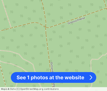 Ideales Single-Appartement direkt am Feldrand - Frei ab 01.01.2026 - Photo 1