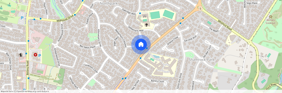 18 Mt Blanc Place, Northpark, Manukau City