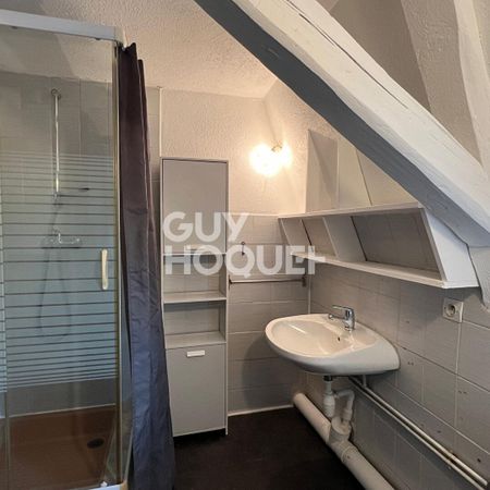 GUEBWILLER : appartement de 3 pièces (41 m²) en location - Photo 3