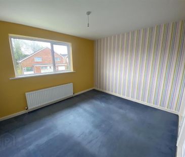 13 Hamilton Gardens, Lisburn, BT28 2BD - Photo 2