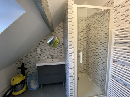 Location Appartement 1 pièce 20m² HOENHEIM 67800 - Photo 5