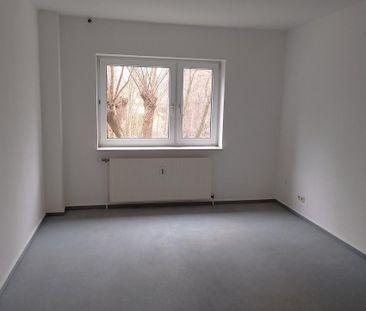 2 Zi. Whg. 51qm² Dornbreite Lübeck ab 01.03 EG Balkon Stellpl - Foto 4