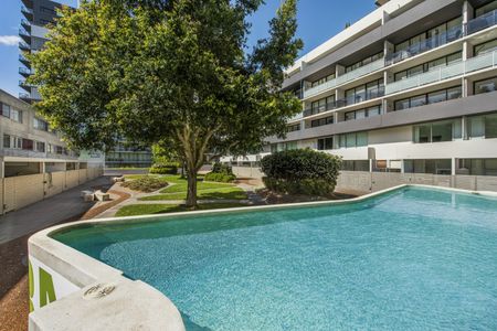 2 Hutchinson Walk, Zetland NSW 2017 - Apartment For Rent | Domain - Photo 5