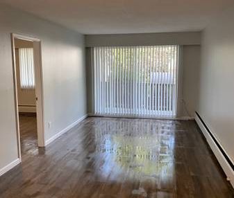 1 Br APARTMENT - GREAT CENTRAL LOCATION - Photo 1