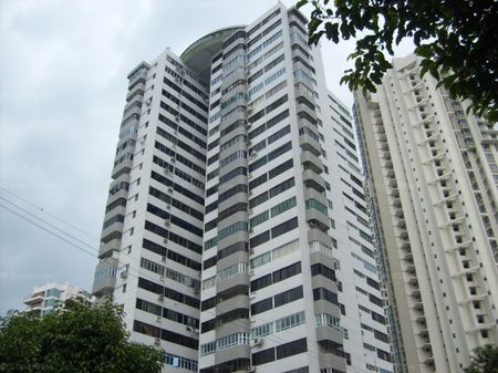 Rajah Tower (D12), Apartment - For Rent - Photo 4