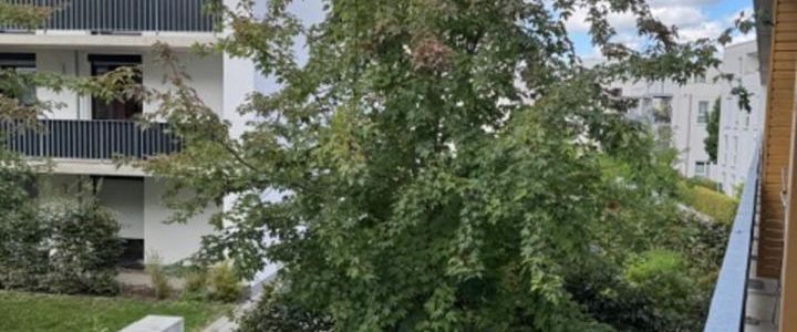 Wohnung f. Studenten B-Zyklus zu vermieten DHBW - Foto 1