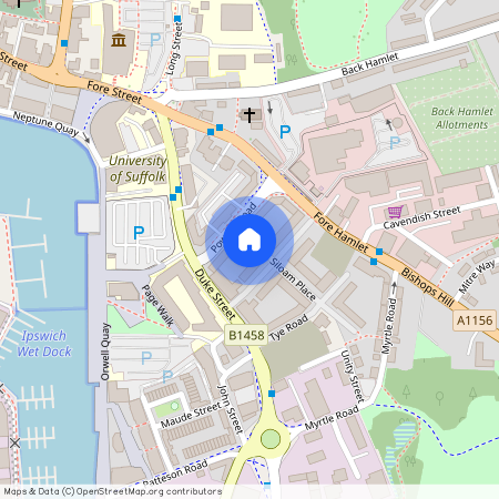 Siloam Place, Modus Development