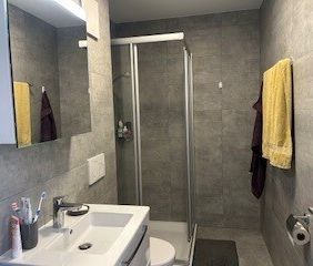 Châtel-st-Denis / 3,5 pièces au rez - Foto 4