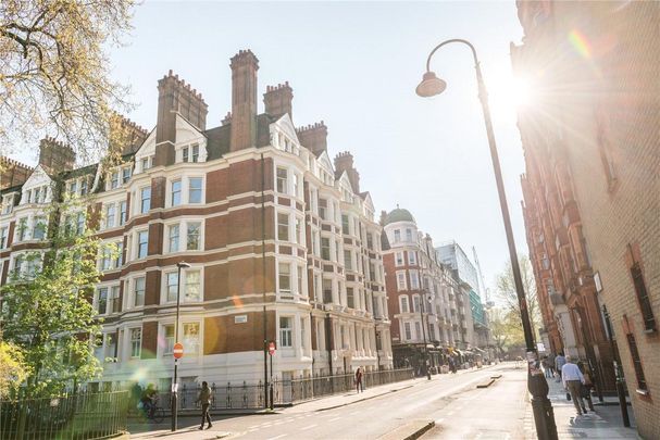 3 bedroom flat in Bloomsbury - Photo 1