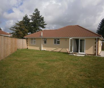 3 bedroom bungalow to rent - Photo 5