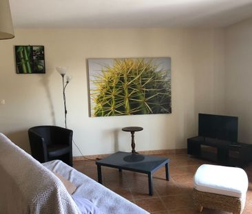 Location appartement 2 pièces, 60.00m², Albi - Photo 3