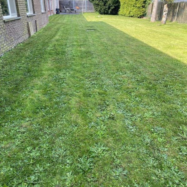 Steenbakkersstraat 12 - Photo 2