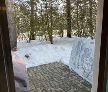 19 Dawson Drive #48 - Photo 3