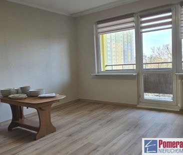 Gumieńce, ul. Antoniego Ledóchowskiego - Zdjęcie 1