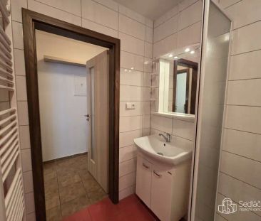 Klidné bydlení 1+1 Sokolov – zahrada, parkování - Photo 1