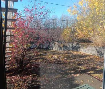 Chambre 1 1/2 acceptant 1 chat - Photo 3